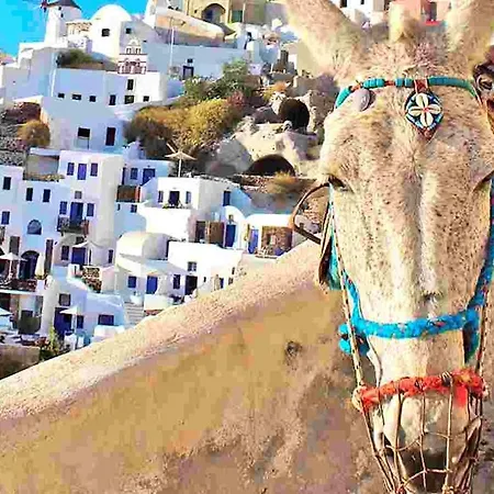 Вилла Deluxe Santorini 1 Bedroom Cherished View Private Pool & Sea