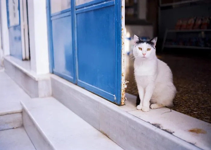 Villa Deluxe Santorini 1 Bedroom Cherished View Private Pool & Sea