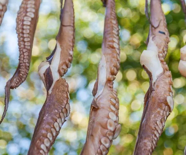 Villa Deluxe Santorini 1 Bedroom Cherished View Private Pool & Sea